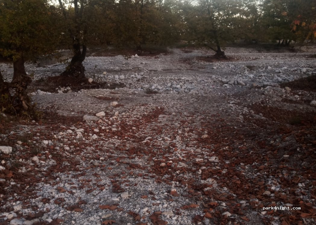 (601 00) Dion Olimpos - — foto 2