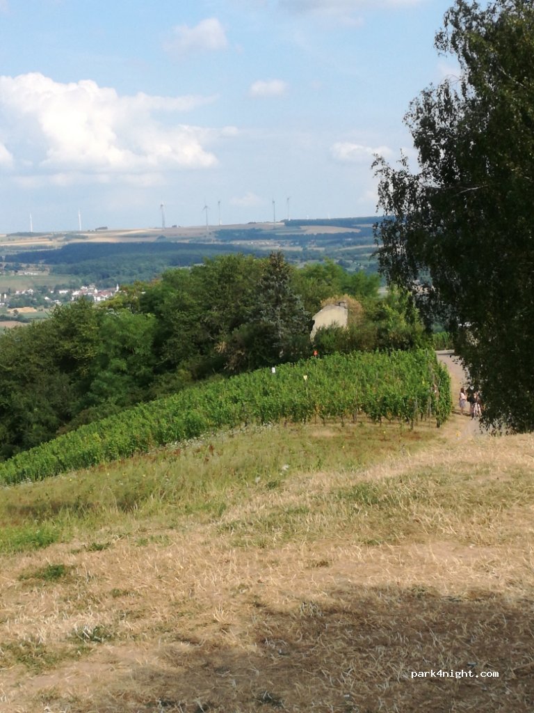 (5470) Wellenstein - 2 Mondorf — foto 2