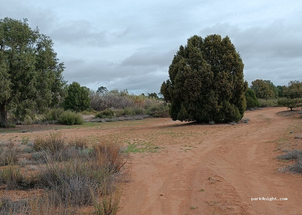(02611) Lagunas de Ruidera - — foto