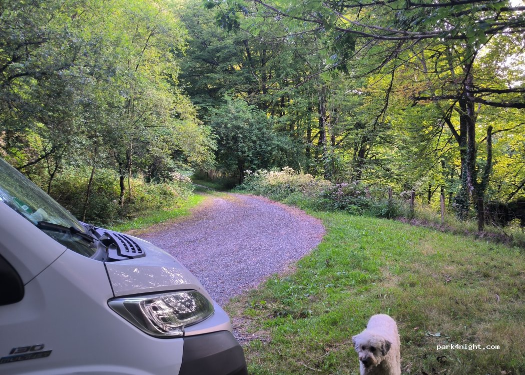(31796) Almandoz - Carr. de Belate — foto 2