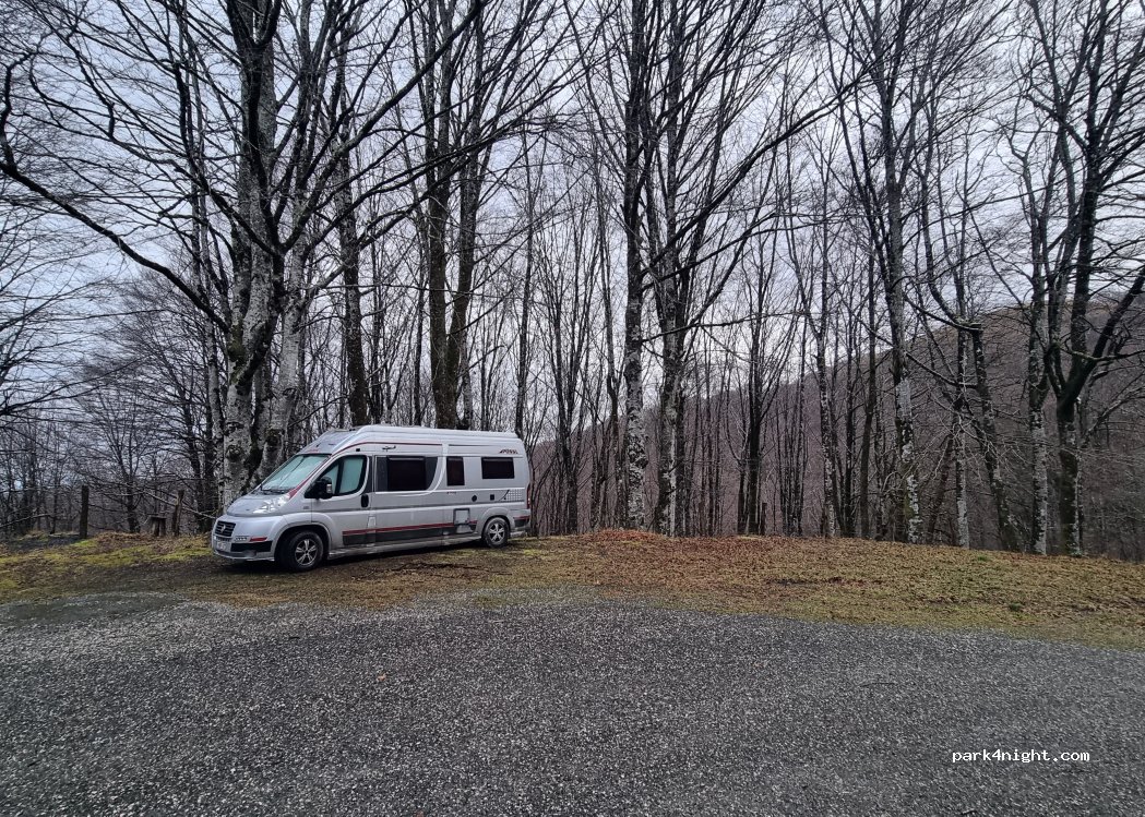 (31796) Almandoz - Carr. de Belate — foto 5