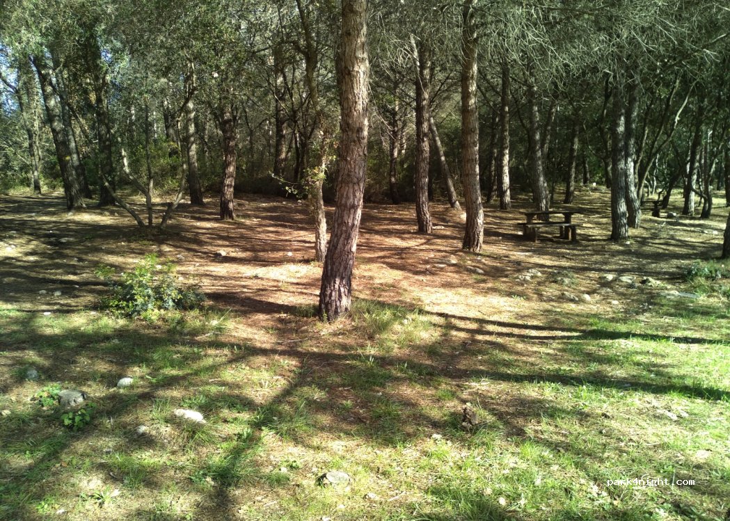 (06560) Valbonne - 1216 D198 — foto