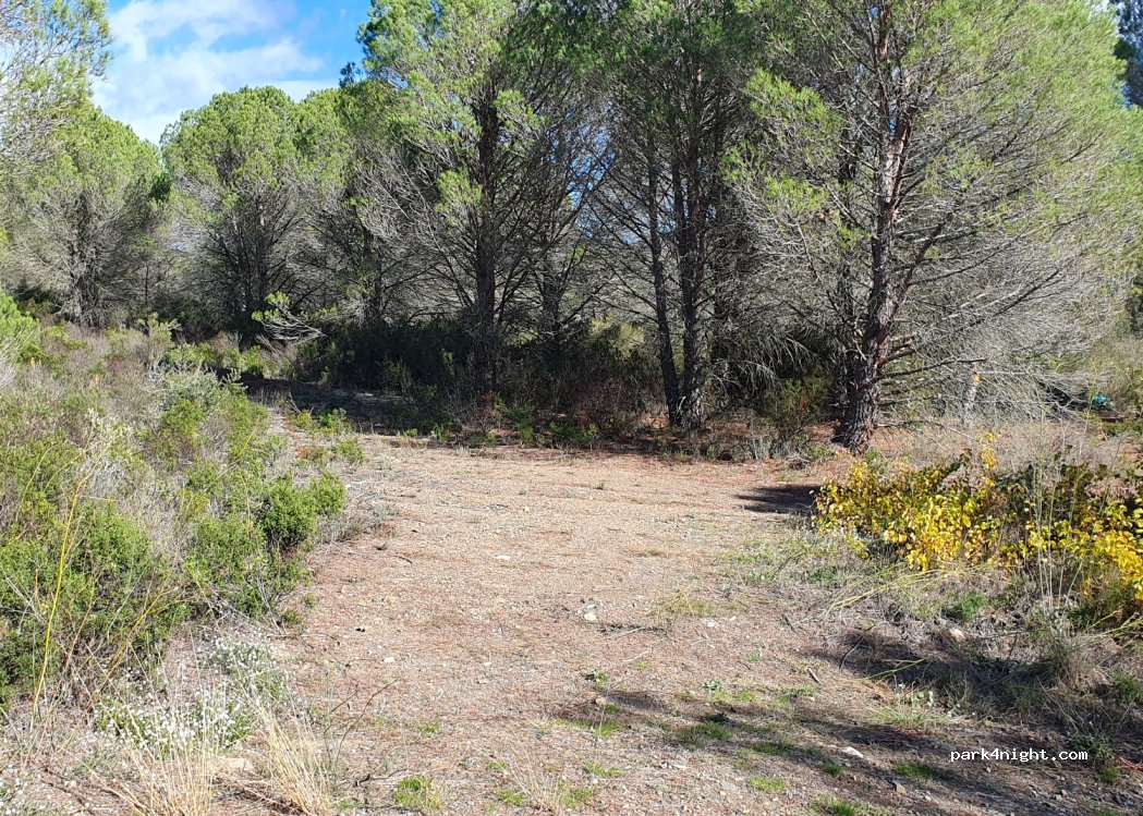 Rec de Fontanilles — foto 2