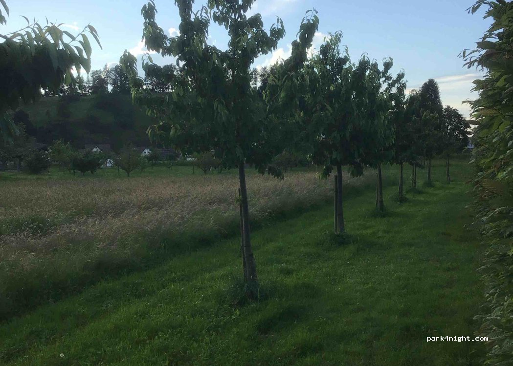 Distillery & Winery Wild — foto 4