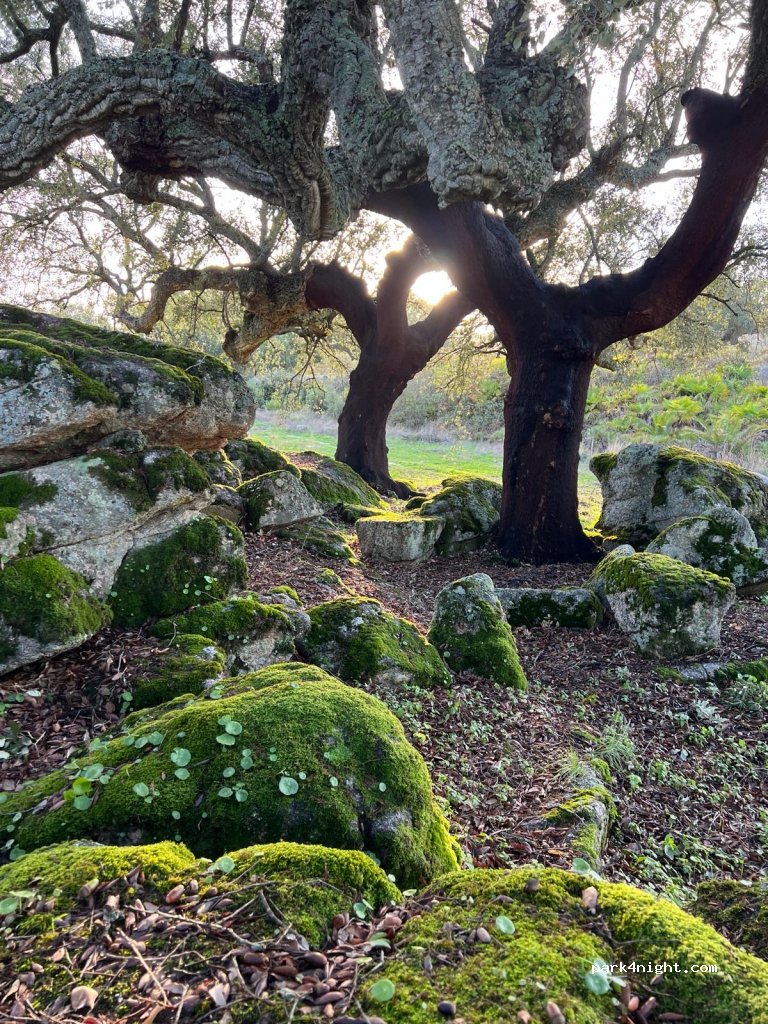 Een verborgen paradijsje — foto 5