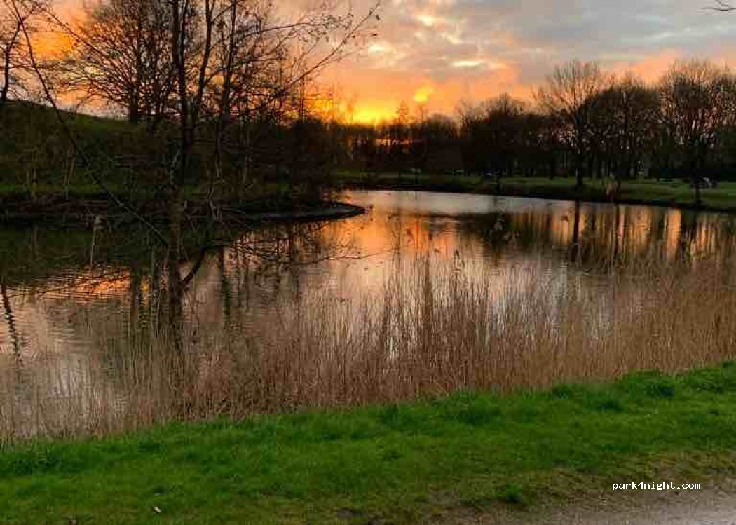 (2560) Nijlen - 19 Karperweg — foto 3