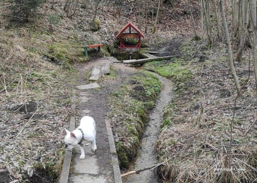 (053 61) Spišské Vlachy - Okolie — foto