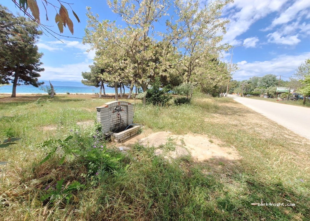 (640 08) Orfano - Unnamed Road — foto