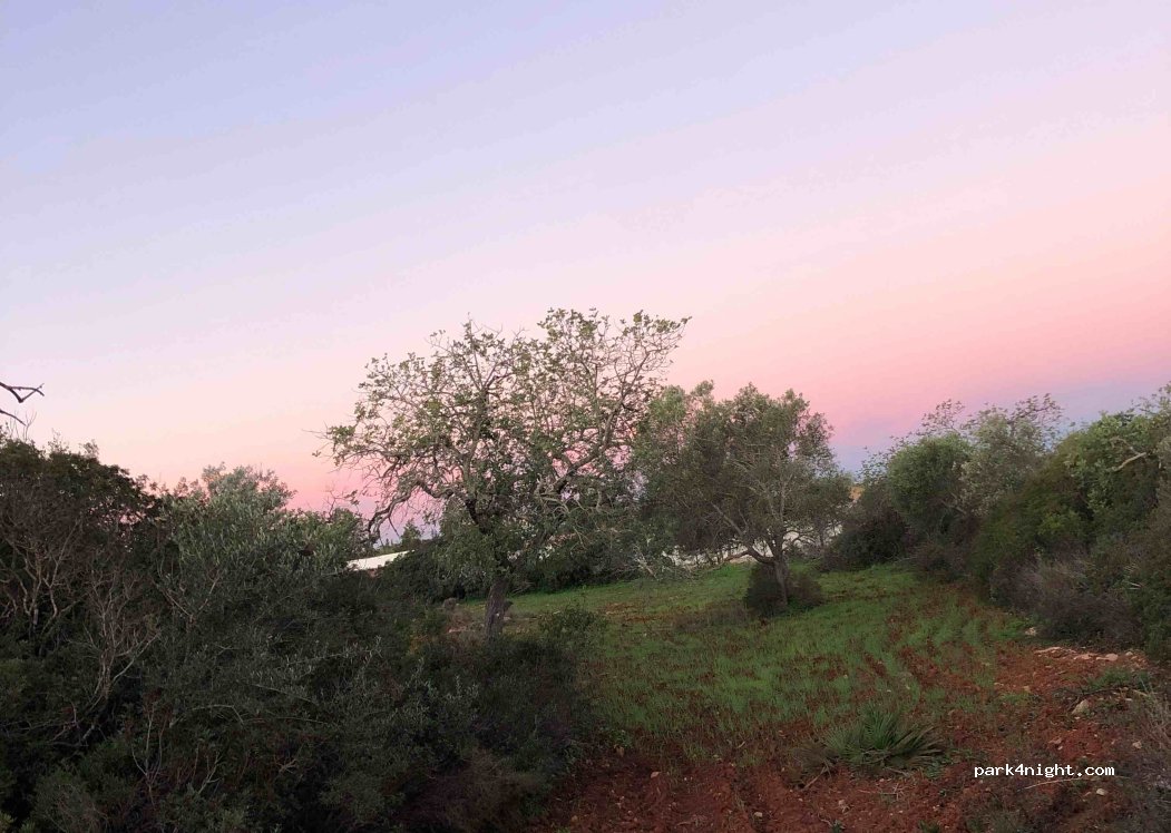 (8700) Quelfes - — foto 2