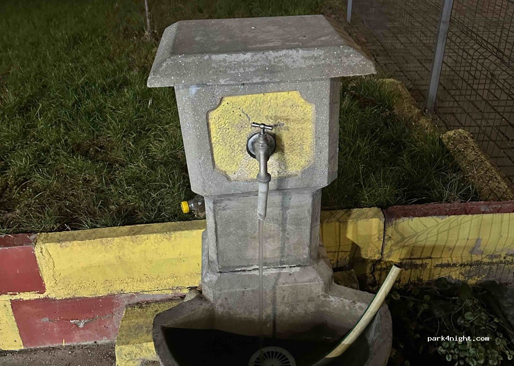 () Zaječar - 83 Čupićeva — foto 3