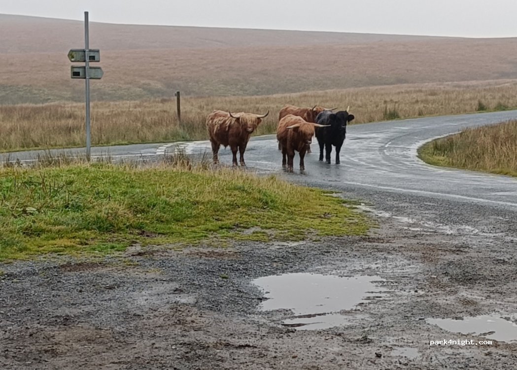 (BD23 4BB)  - Grains Lane — foto 3