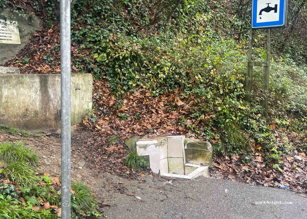 (34825) Beykoz - 3 Çam Çıkmazı — foto