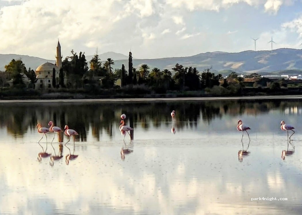 Dromolaxia - Tekke Road — foto