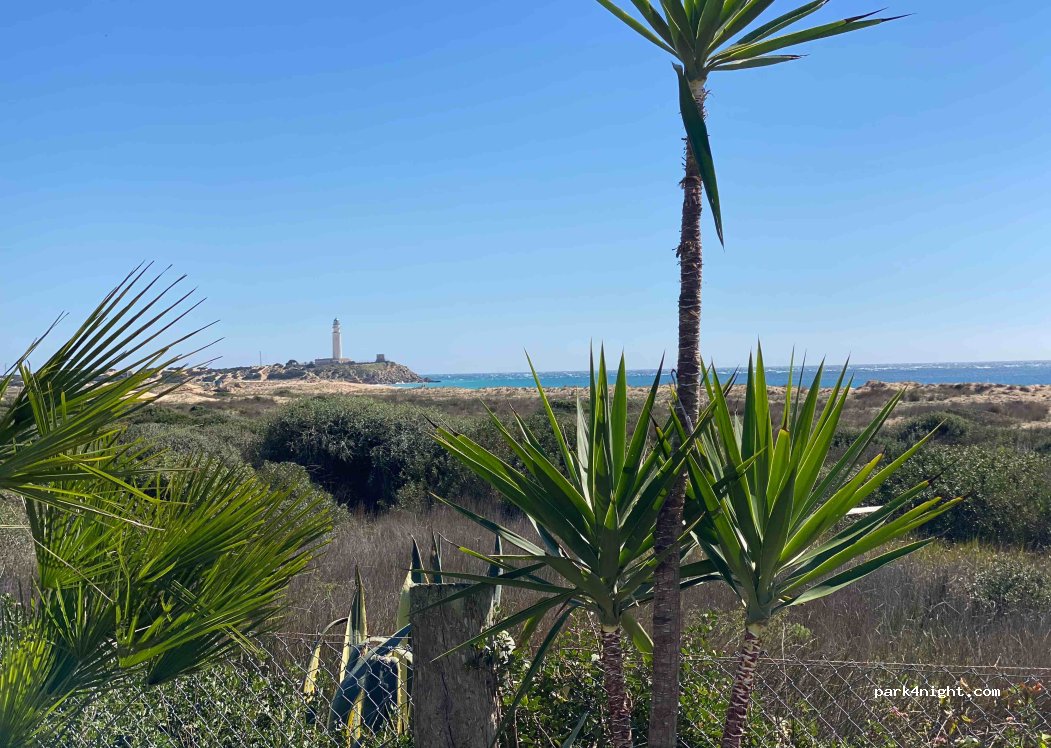 (11159) Barbate - Camino de Guerrero — foto