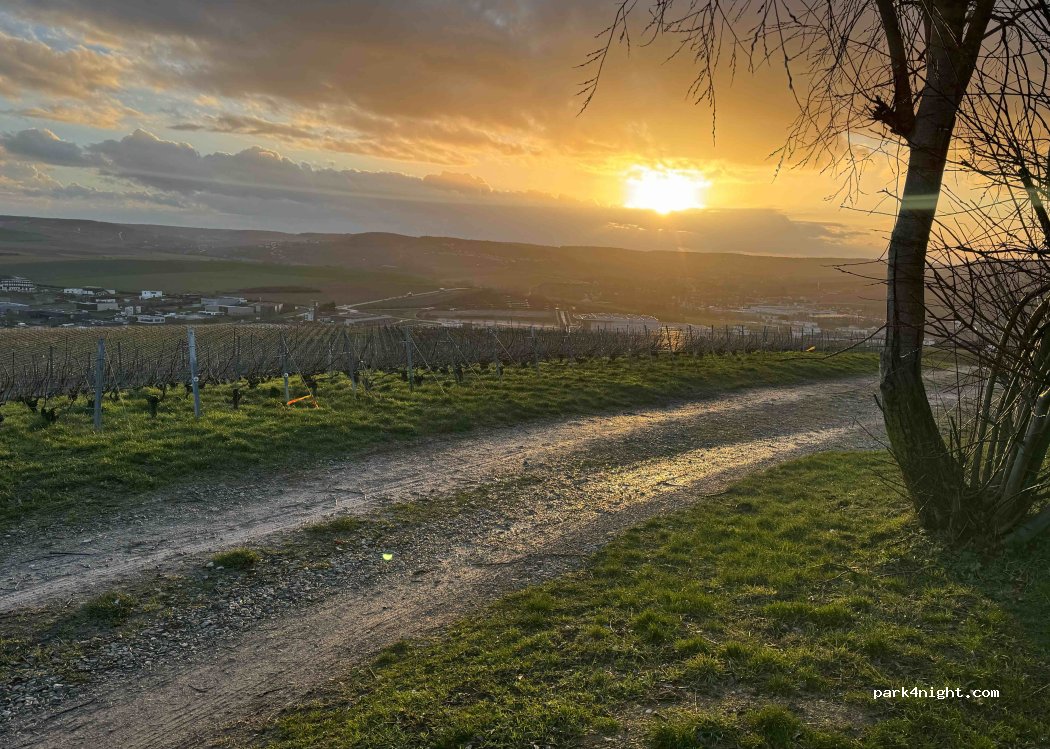 (51200) Épernay - Sentier du Mont Bernon — foto 2