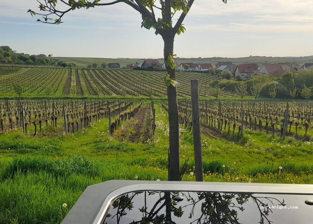 Weingut Hitziger — foto 5