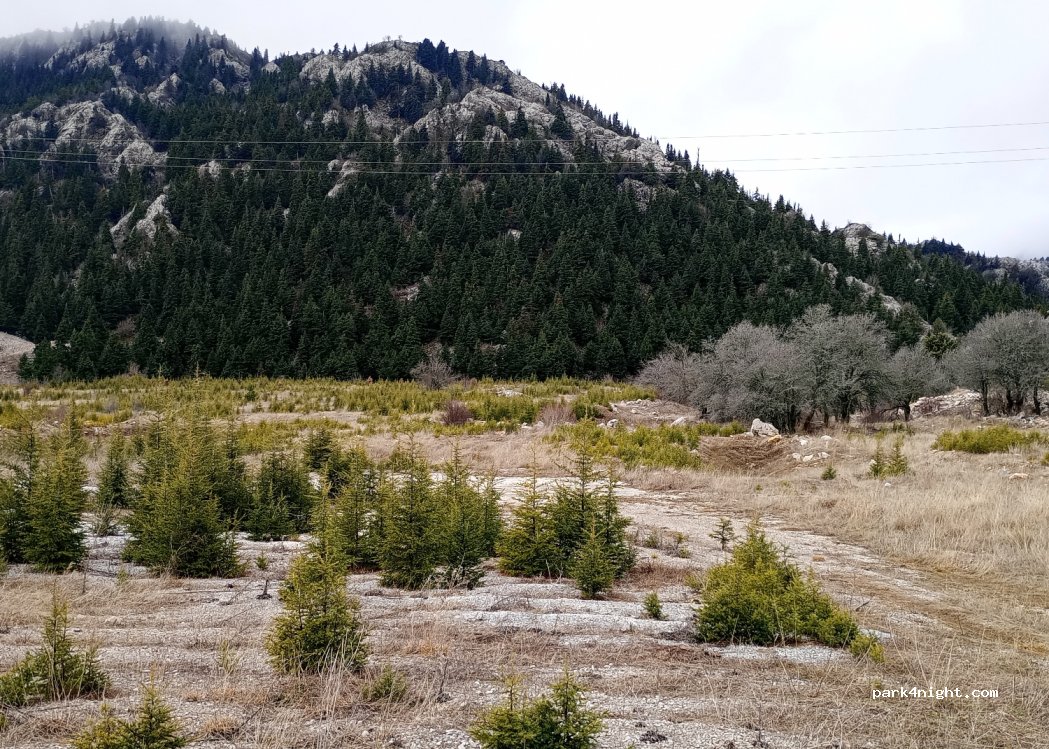 (07630) Bademli - — foto