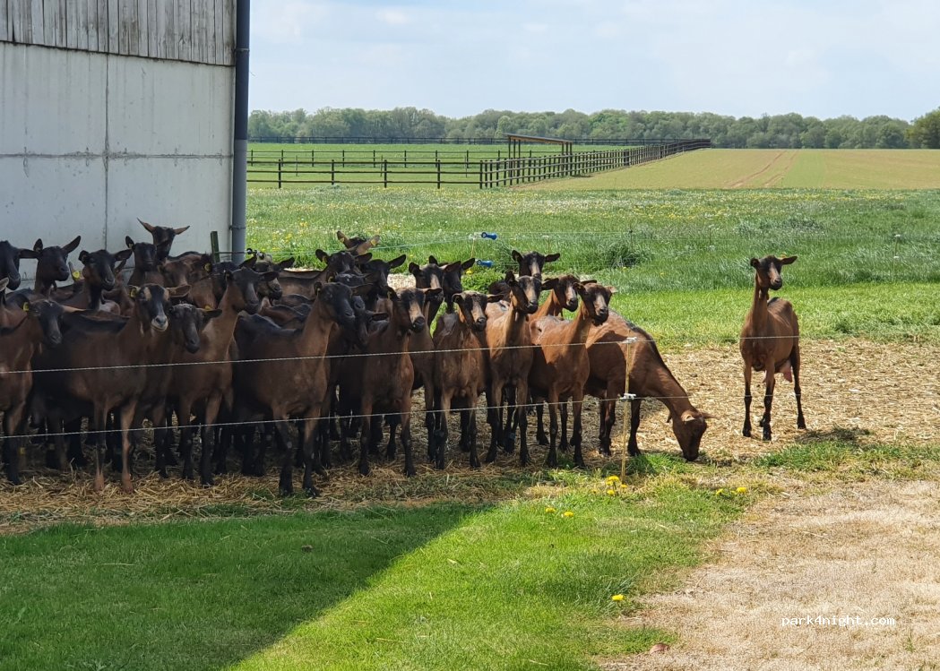 Ferme-La Bikette Caugéenne — foto 3