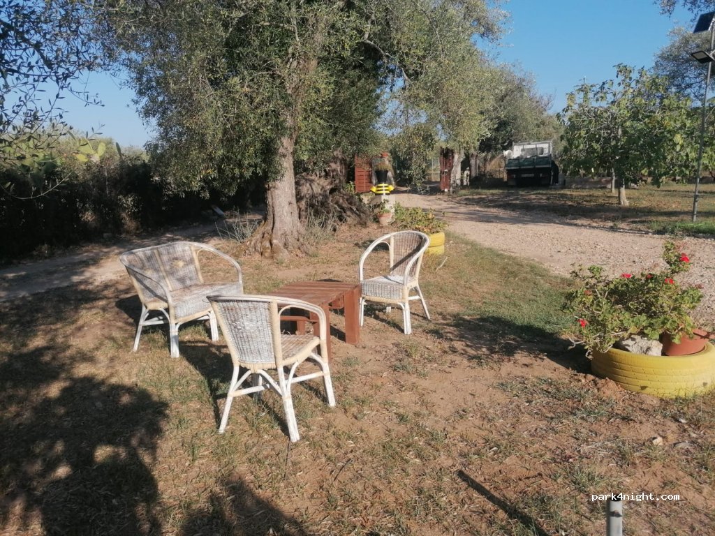 Il giardino tra gli ulivi — foto 3