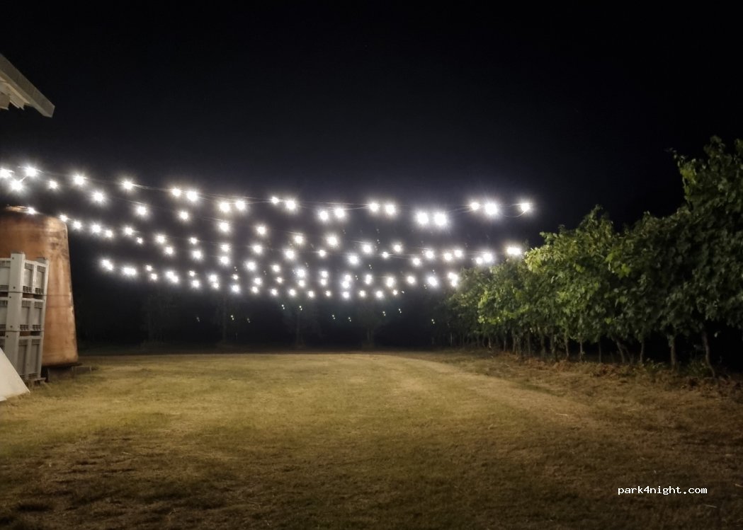Cantina Podere Ferraruola-Dozza — foto 3