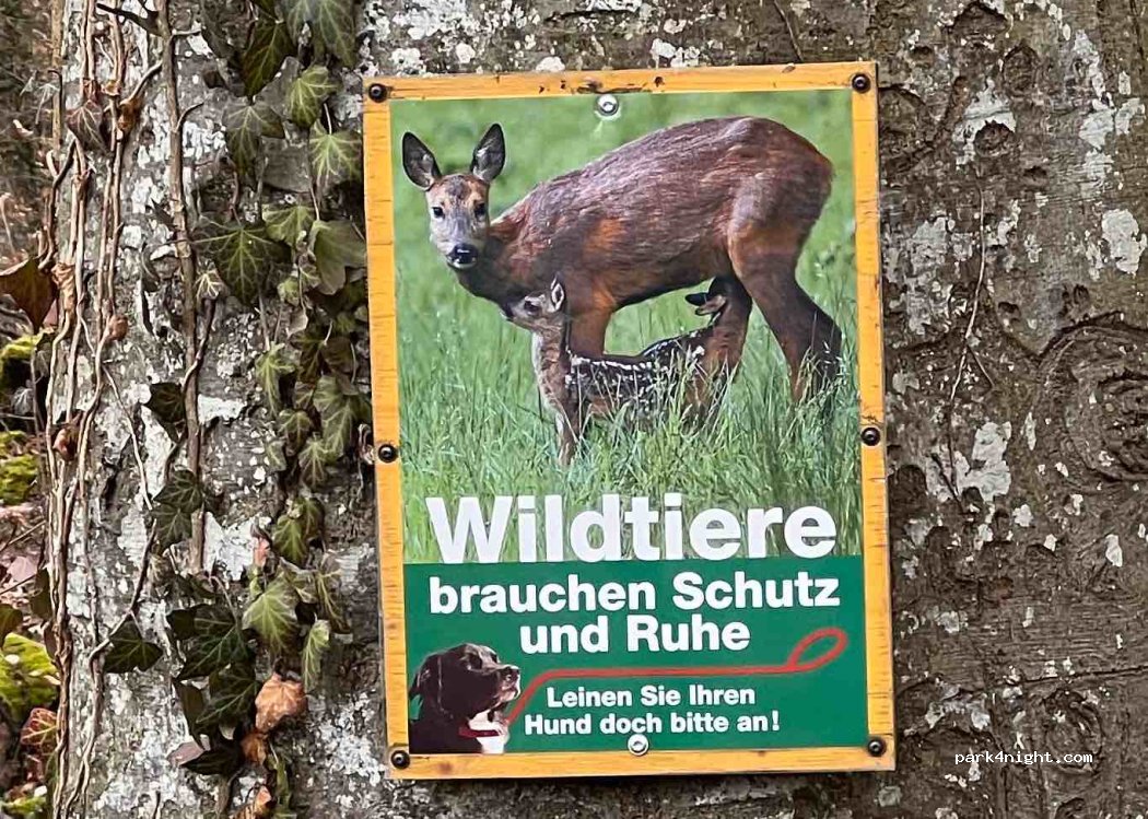 (78315) Radolfzell - — foto