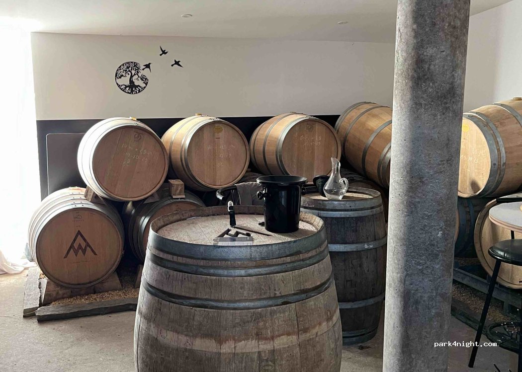 Vacy - Charlotte et Yohann Welvaert Vigneron — foto