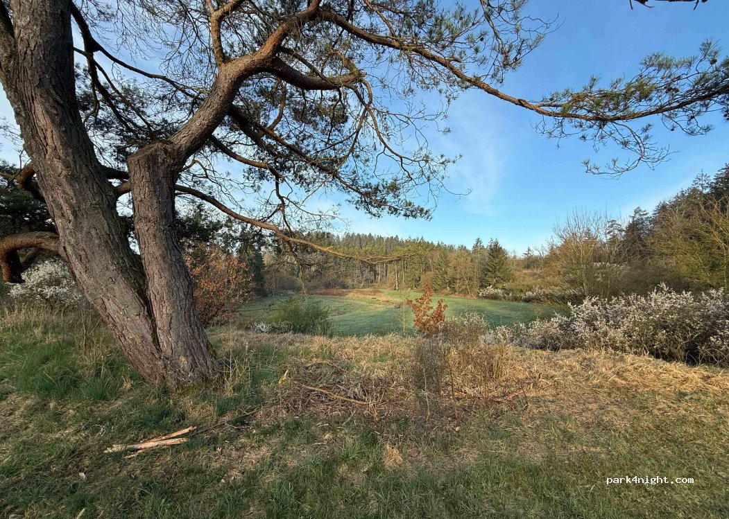 (86) Rögling - Unnamed Road — foto 3