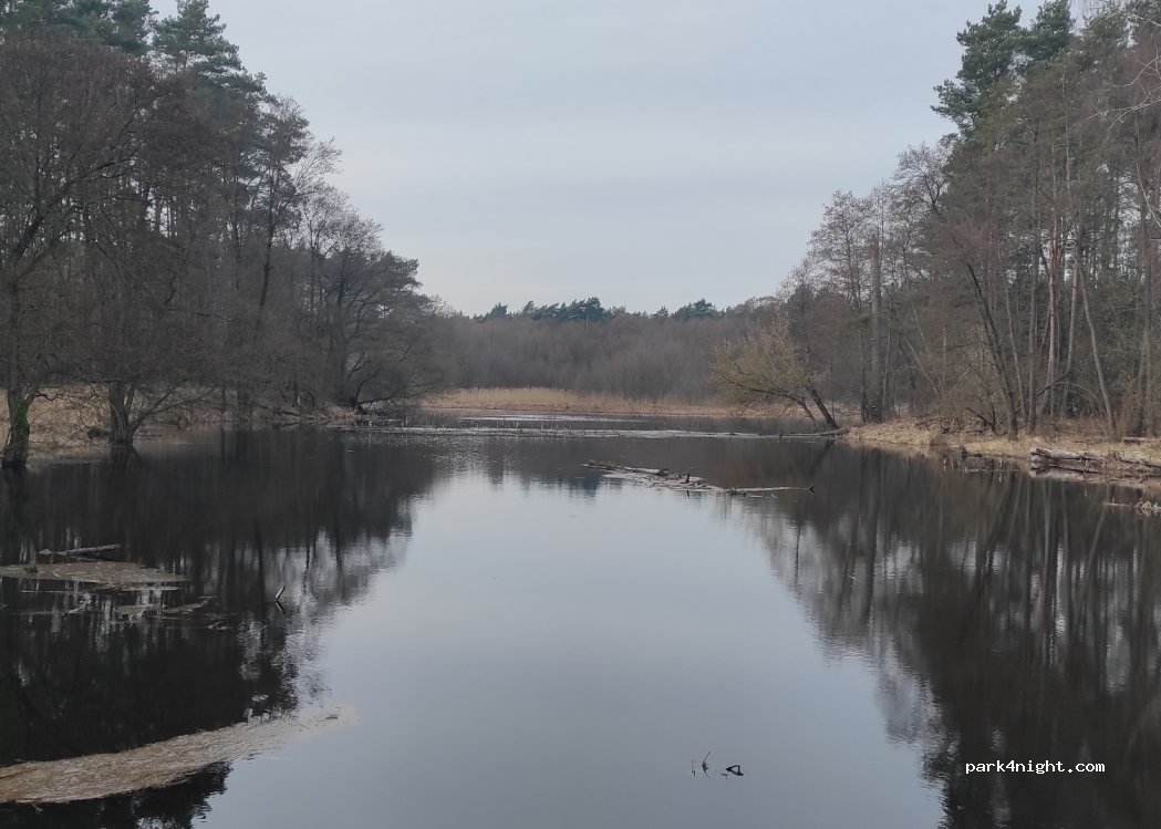 (62-030) Luboń - 8 Dolna — foto