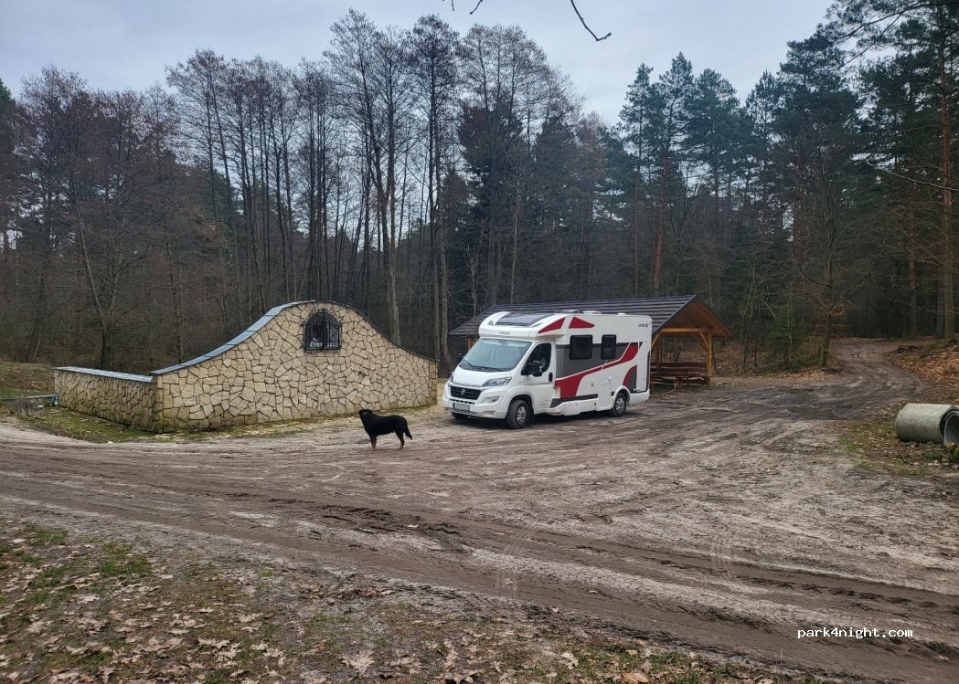 (22-463) Trzęsiny - Unnamed Road — foto