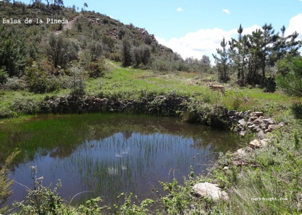 Torralba del Pinar — foto 3