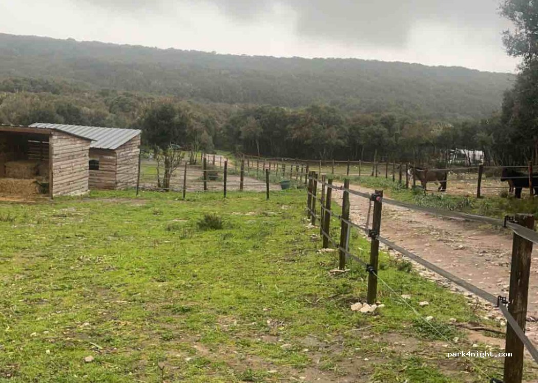 Centre équestre Equi’libre — foto