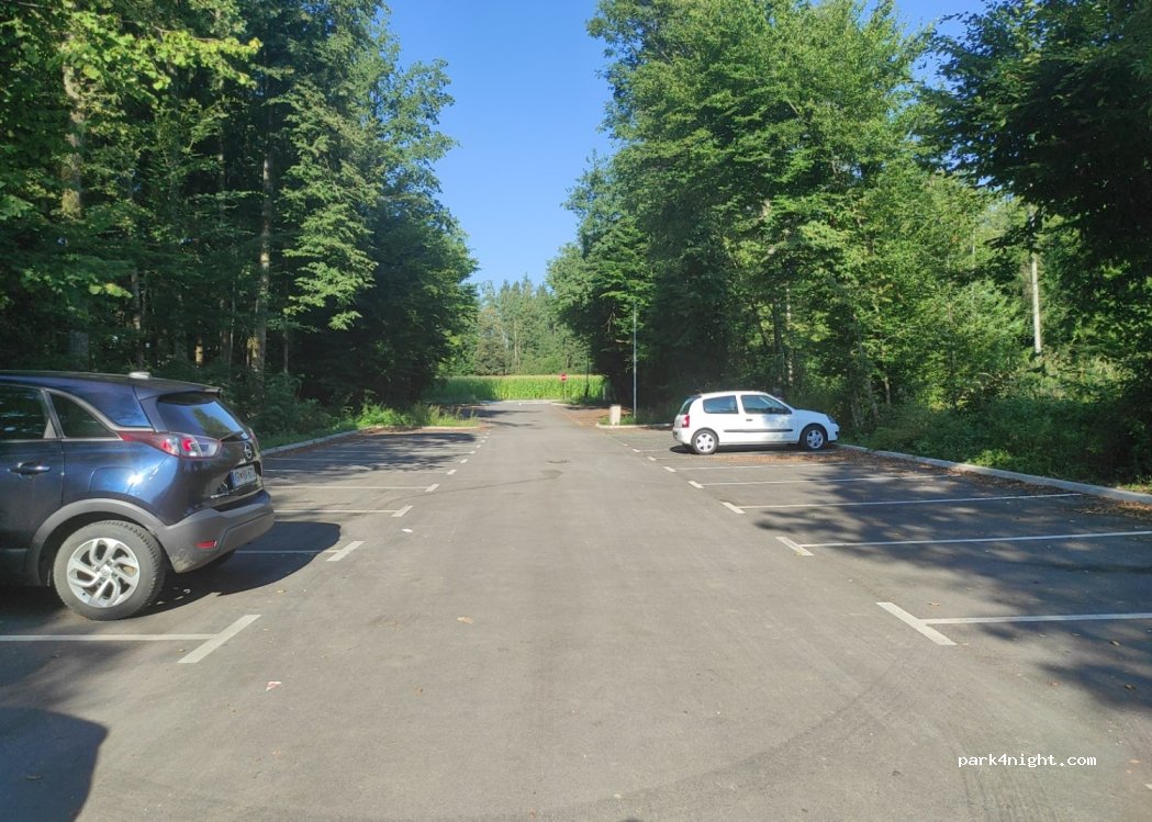 (4208)  - 55 Gasilska cesta — foto 2