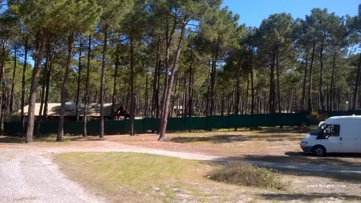 (33121) Carcans - D207 — foto