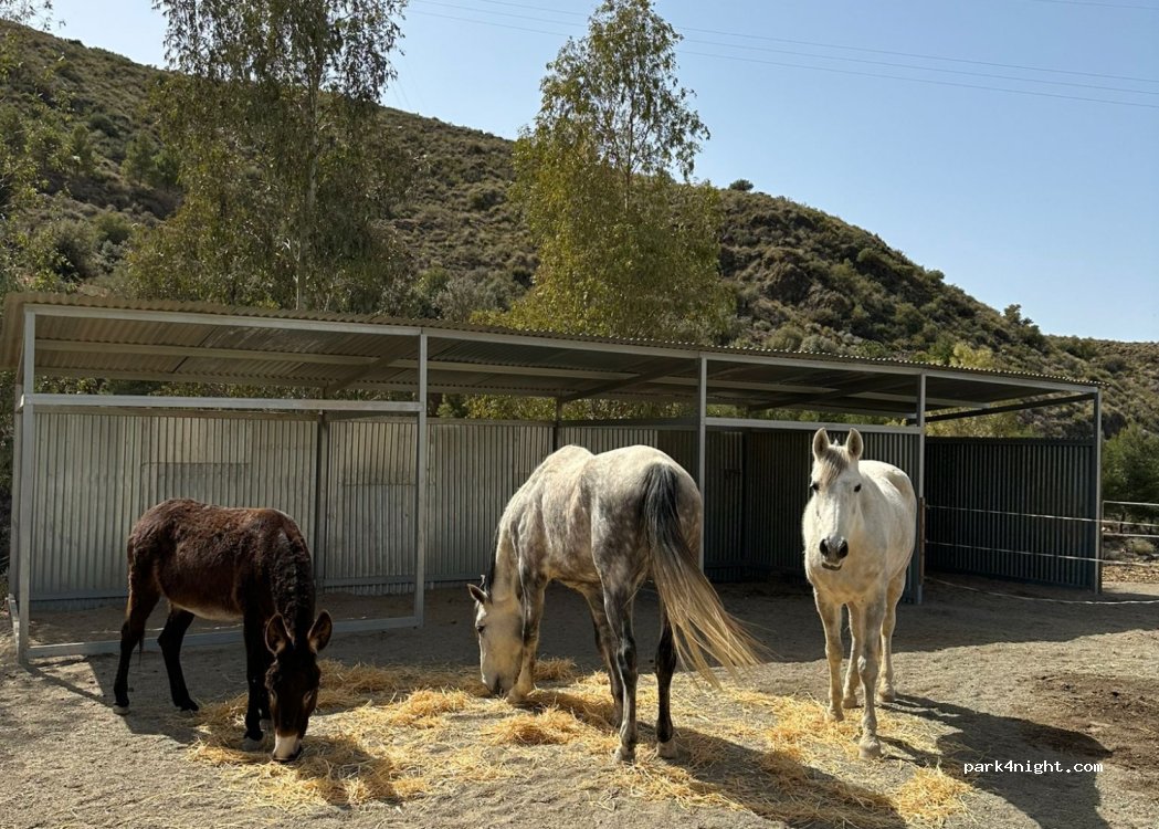Rancho Purias — foto 3
