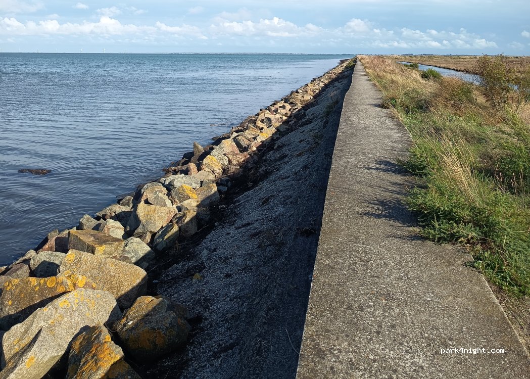 (85630) Barbâtre - Unnamed Road — foto 5