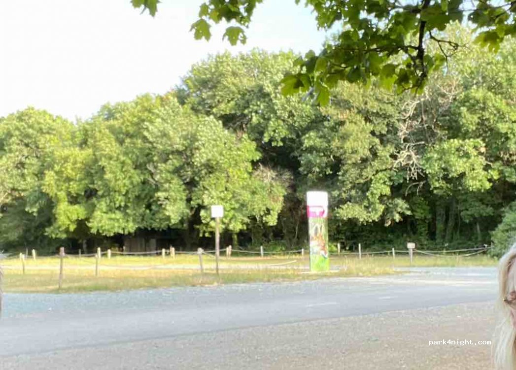 (79360) Villiers-en-Bois - D119 — foto