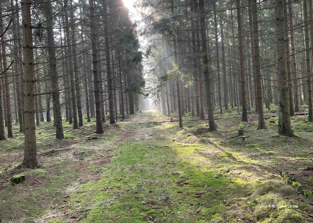 Aakirkeby - — foto