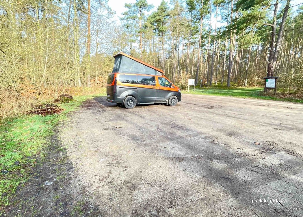 (21391) Reppenstedt - 9 Waldweg — foto