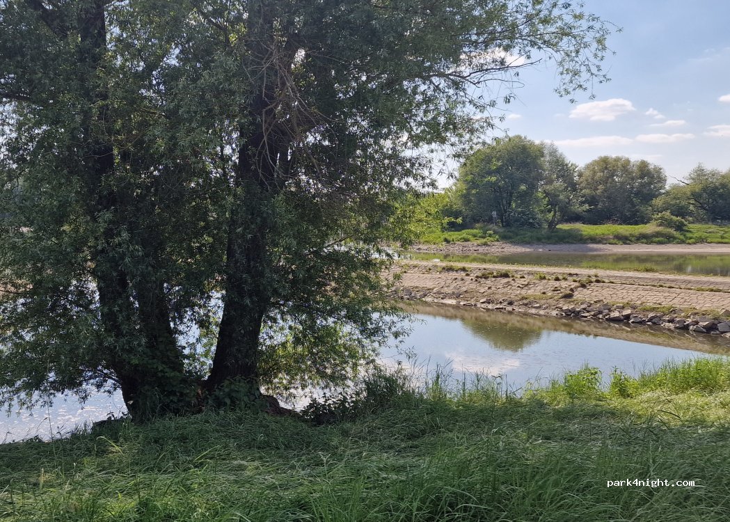 (94327) Bogen - Unnamed Road — foto 4