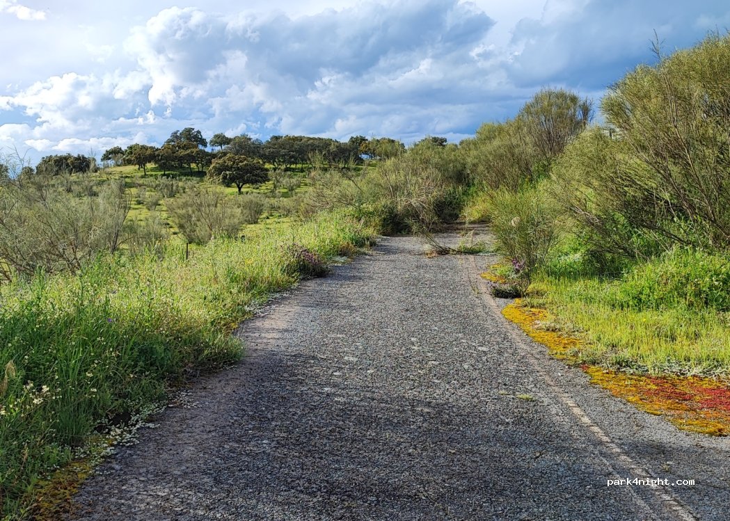 (10990) Piedras Albas - — foto 2