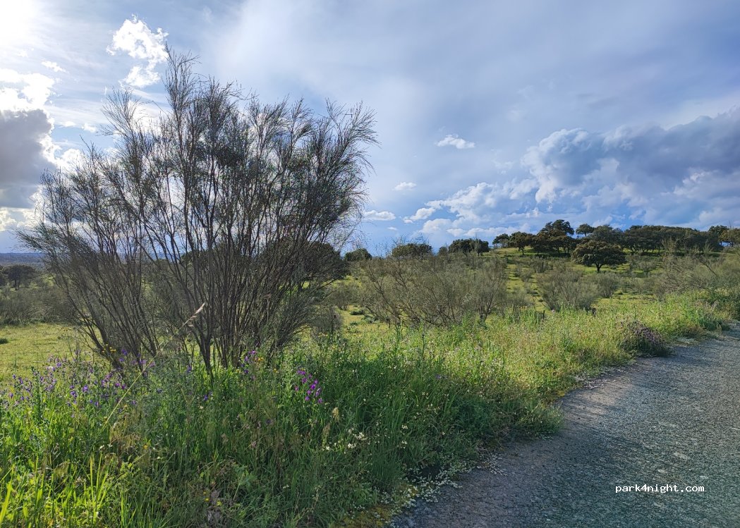 (10990) Piedras Albas - — foto 3