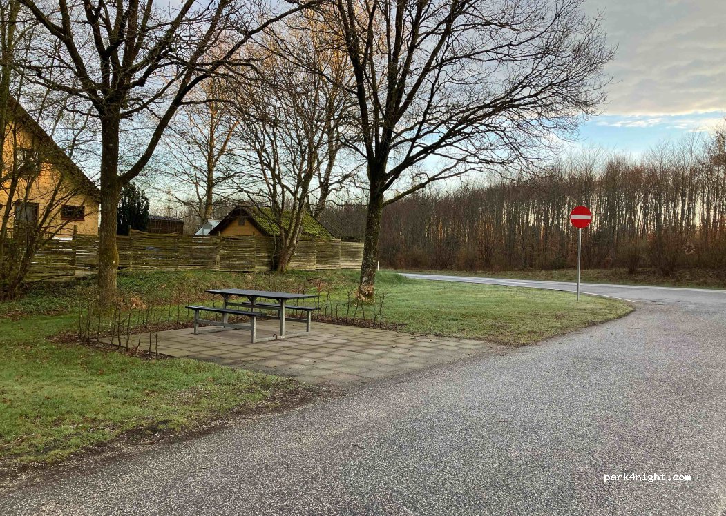 (8800) Viborg - 95 Skivevej — foto 3