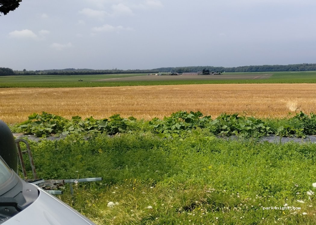 Boerderijcamping Terweierhof — foto 3