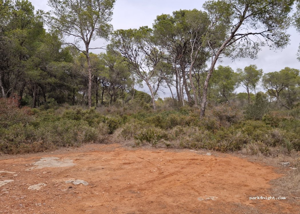 (46515) Quart de les Valls - — foto 2