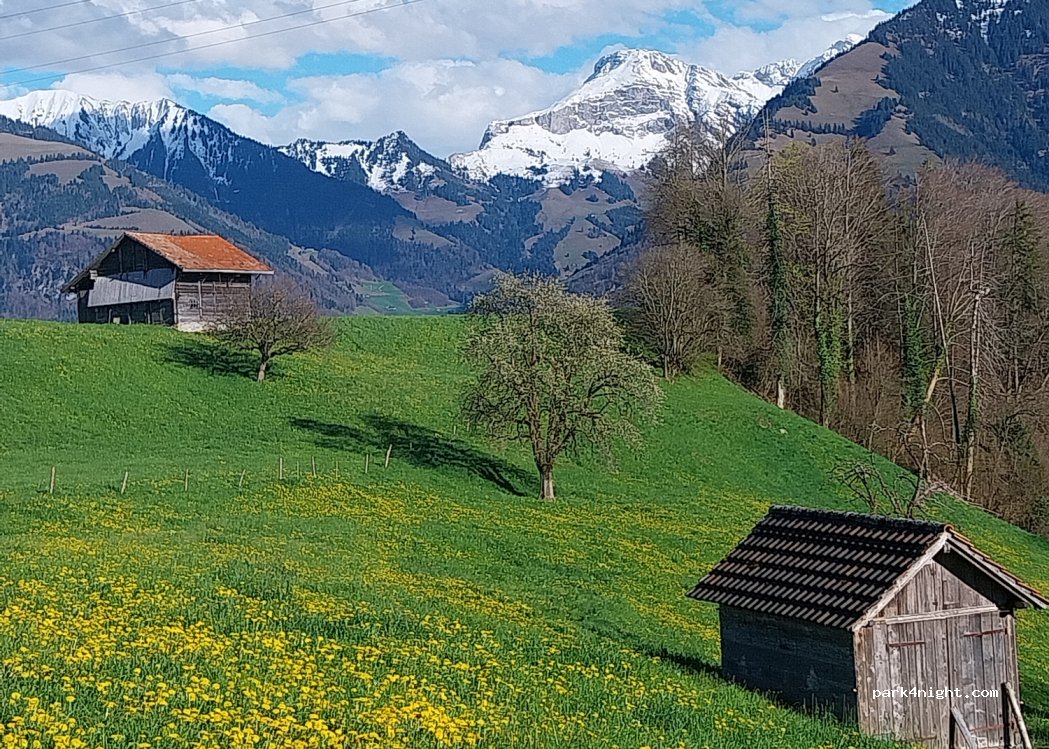 (6063) Sarnen - 25 Schwanderstrasse — foto