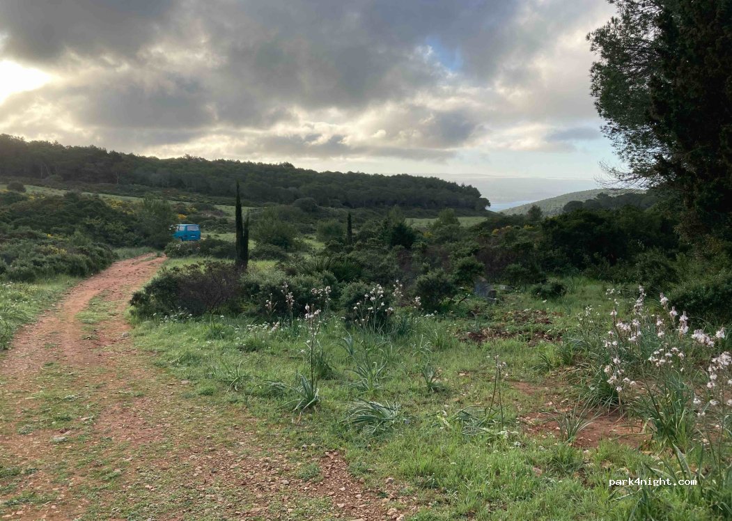 (07041) Alghero - Unnamed Road — foto 2