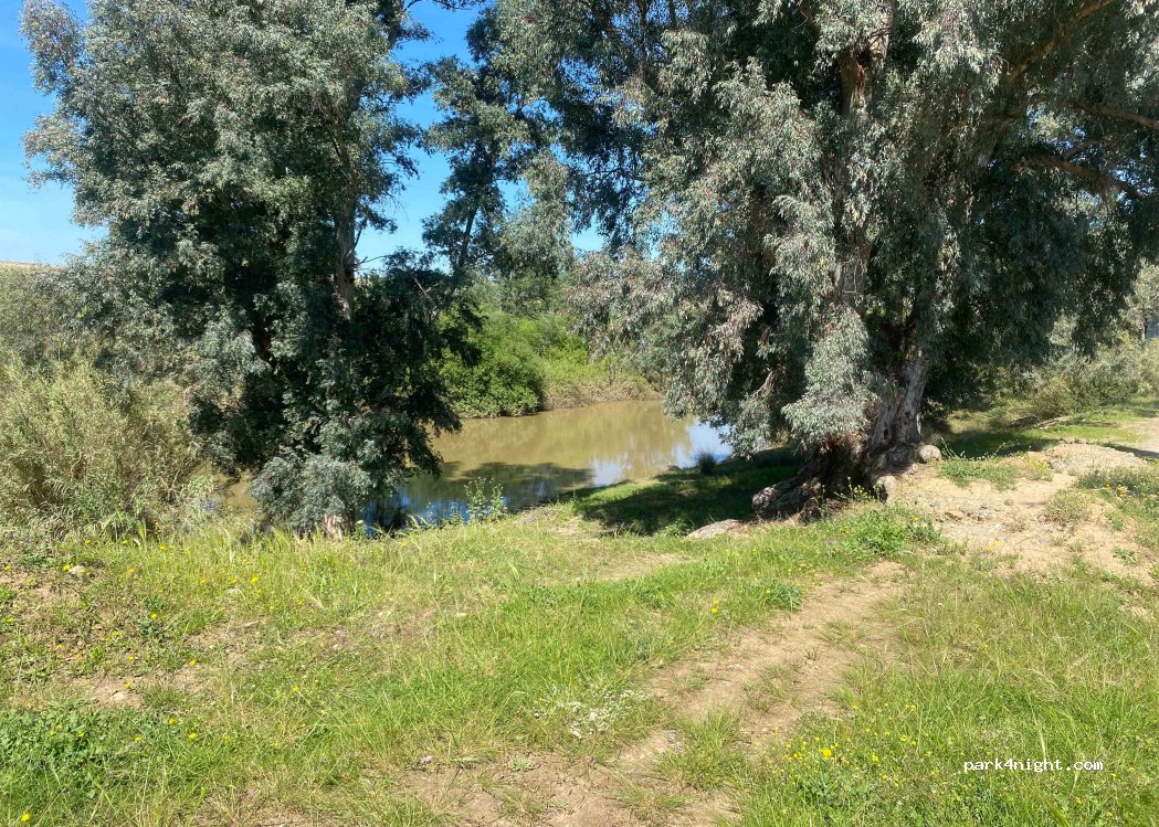 (41210) Guillena - — foto 3