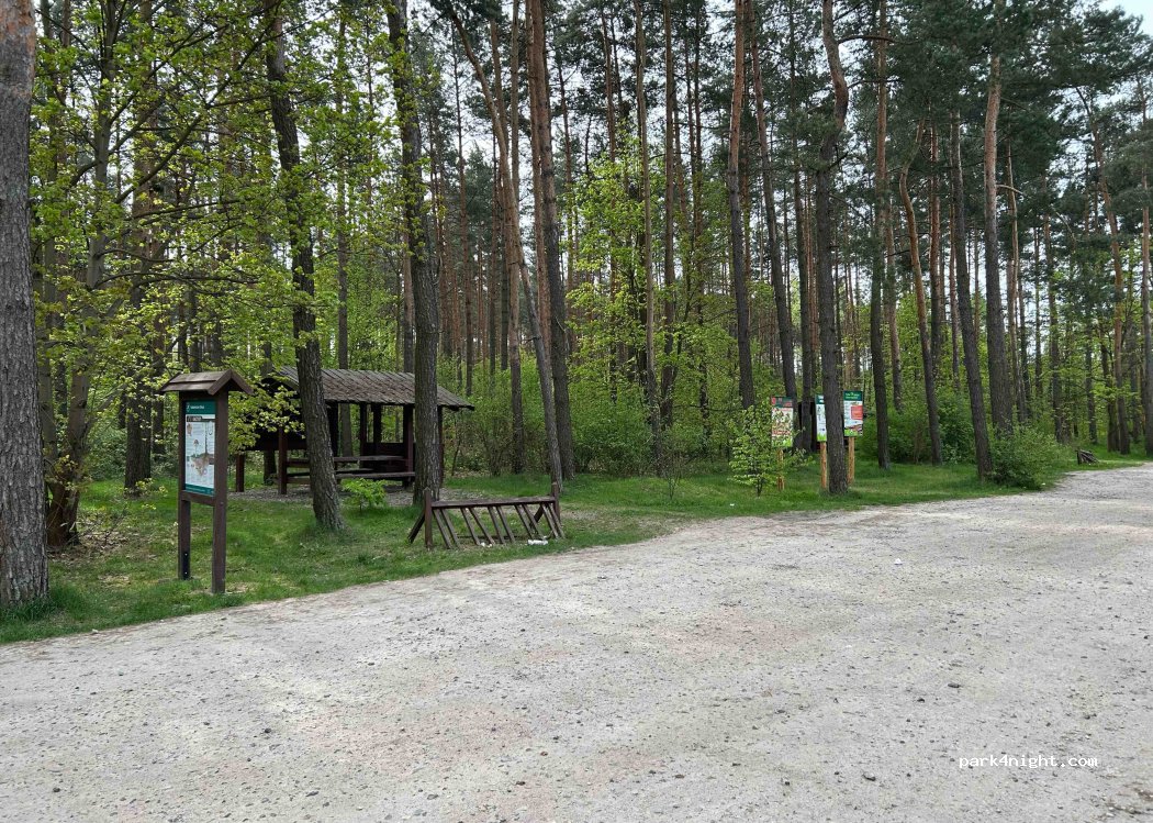 (32-300) Rabsztyn - Unnamed Road — foto