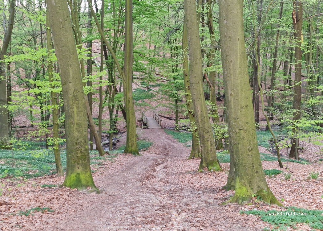 (21039) Börnsen - 13 Hamfelderedder — foto 2