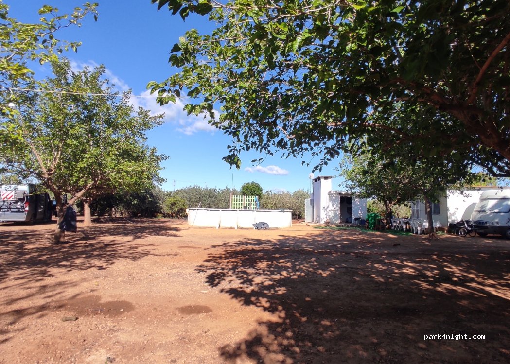 (46680) Algemesí - — foto 2